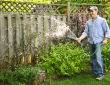 Essential Home Gardening Tips